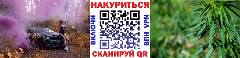 Купить  Ахтубинск  Конопля гибрид 